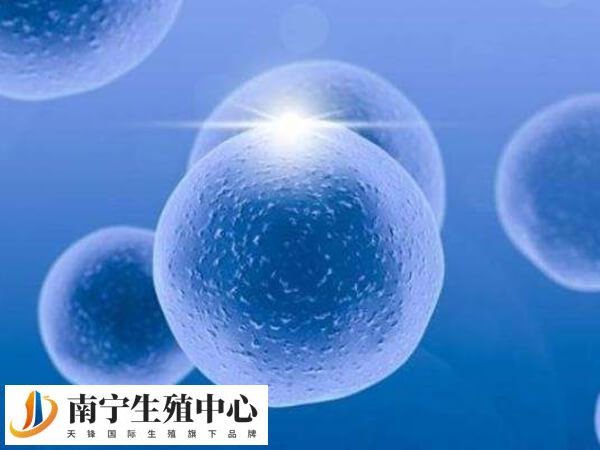 每一代试管婴儿成功率有不同