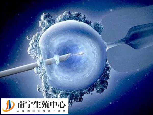 胚胎形态8-5-0质量较差