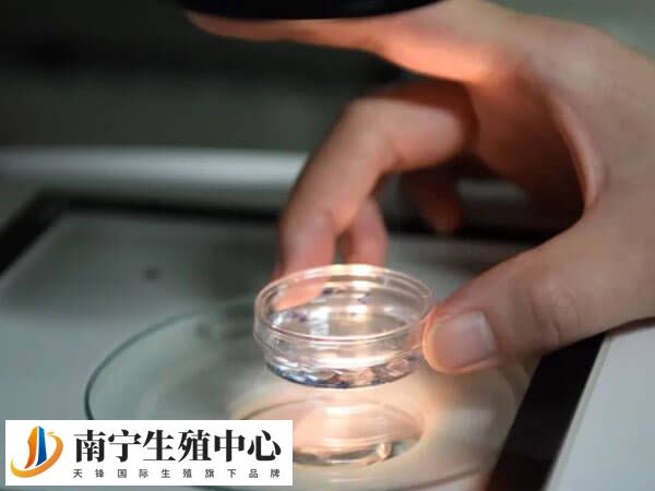 试管婴儿的进周后注意休息